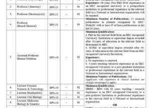 The Latest Vacancies in Khyber Medical University (KMU) 2024