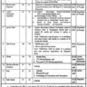 Government Job Vacancies in Energy Department Punjab 2024