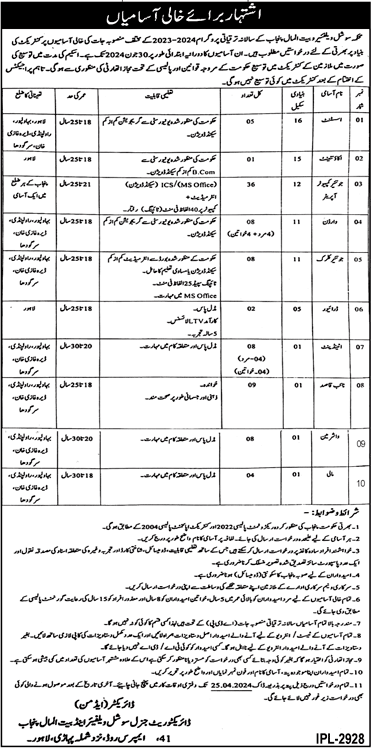 Social Welfare Bait-ul-Maal Department Contractual Vacancies 2024