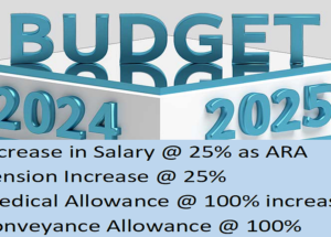 Budget 2024-25 Pay Pension 25%, Medical and Conveyance Allowance 100% Increase News