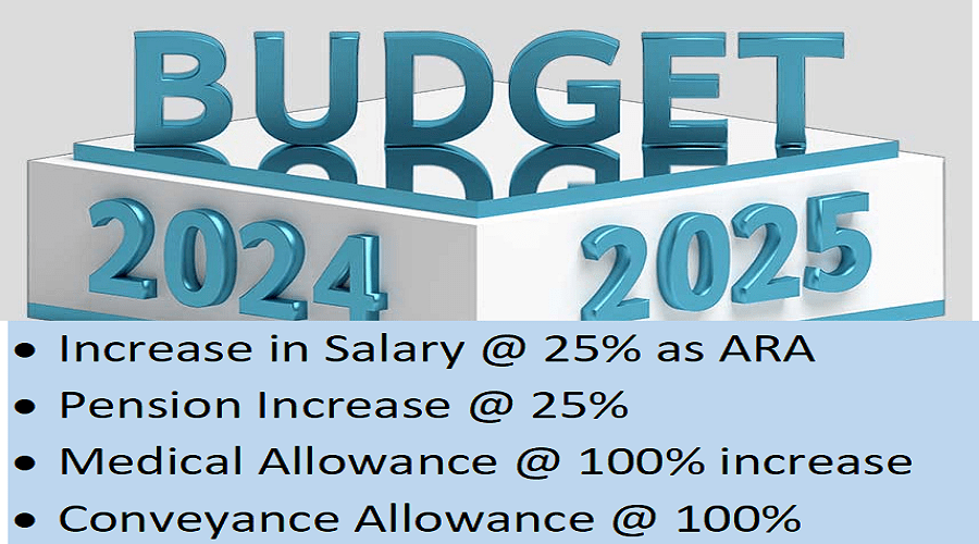 Budget 2024-25 Pay Pension 25%, Medical and Conveyance Allowance 100% Increase News