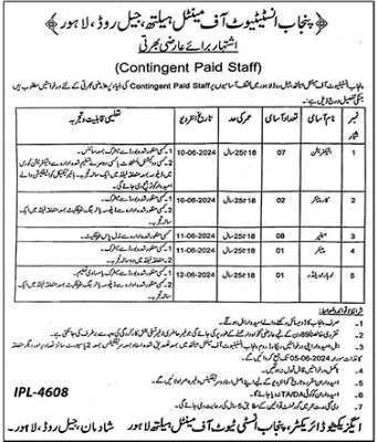 Contingent Paid Staff Vacancies in PIMH 2024 Lahore