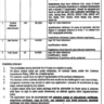 Contractual Vacancies in Board of Revenue Punjab 2024