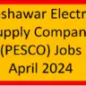 Peshawar Electric Supply Company (PESCO) Jobs April 2024