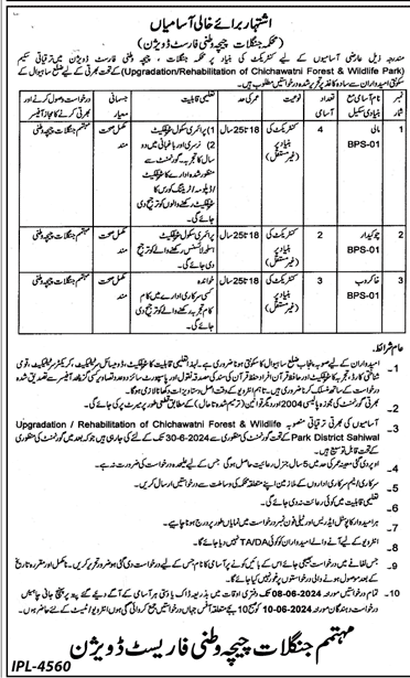 The Latest Forest Department Vacancies 2024 Punjab