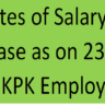 Updates of Salary Increase as on 23 May 2024 KPK Employees Budget