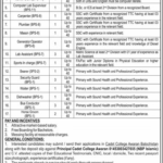 Job advertisement for Cadet College Awaran Balochistan April 2025