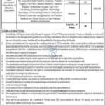 Job advertisement for doctor appointments in Khyber Pakhtunkhwa Health Department 2025