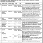 Official poster showing NIPS&T&R job opportunity advertisement with details of vacancies, duration, age limits, pay scales, and application instructions.