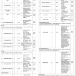 PPS-01 to PPS-08 Contractual Vacancies in NIH Islamabad 2025