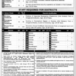 The Latest Vacancies in Punjab Rescue 1122