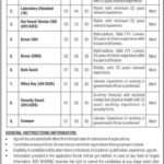 Ministry of National Health Services Job Advertisement May 2025