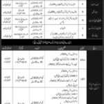 Pakistan Navy Sailor Jobs 2025 B-2025 Advertisement with Eligibility and Online Registration Dates