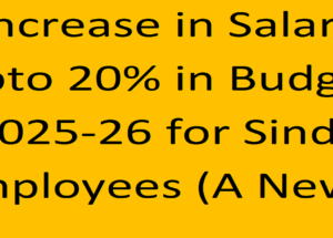 A News of Increase in Salary @ 20% in Budget 2025-26 for Sindh Employees