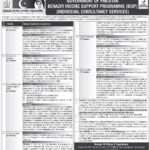 BISP Individual Consultancy Jobs Advertisement May 2025