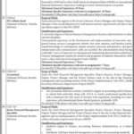 Sindh SSEIP Project Jobs Advertisement 2025
