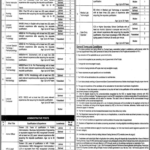 Health and Population Department Punjab Govt Jobs
