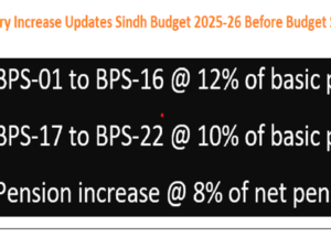The Latest Salary Increase Updates Sindh Budget 2025-26 Before Budget Speech