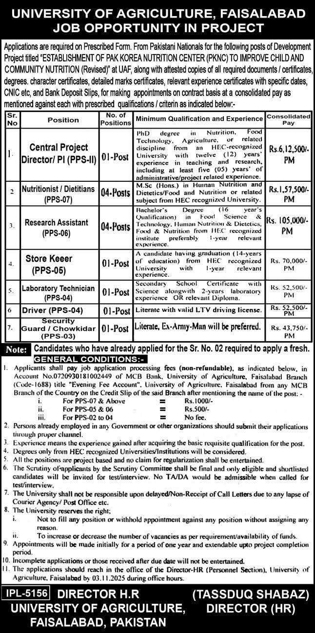 University Agriculture Faisalabad Jobs under Pak Korea Nutrition Center Project